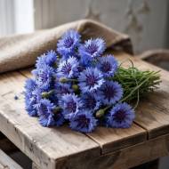 Василёк (вязанка 5гр)